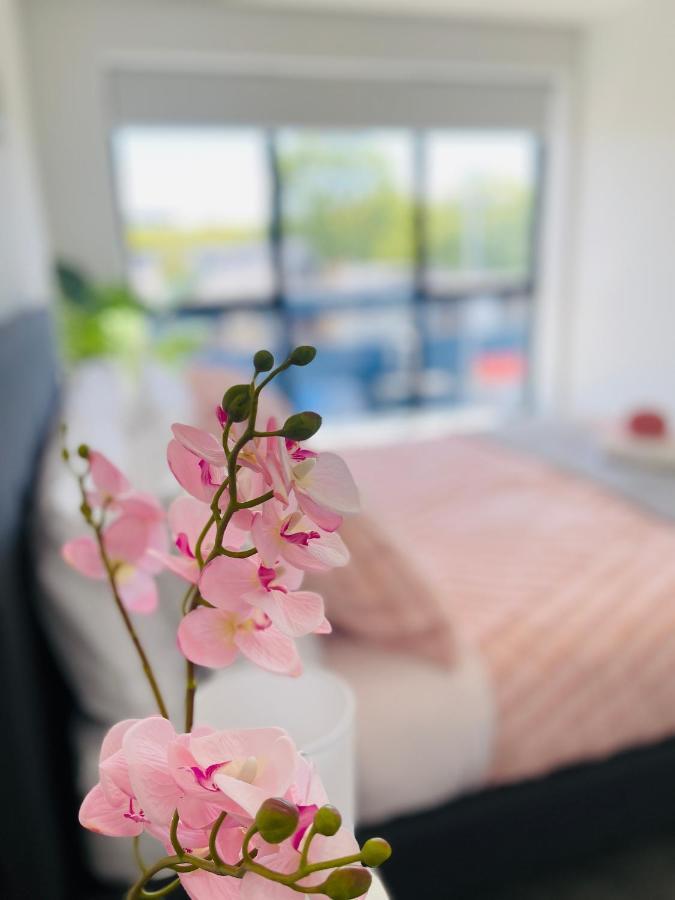 Walking Distance To Riverside Market & Hospital 크라이스트처치 외부 사진
